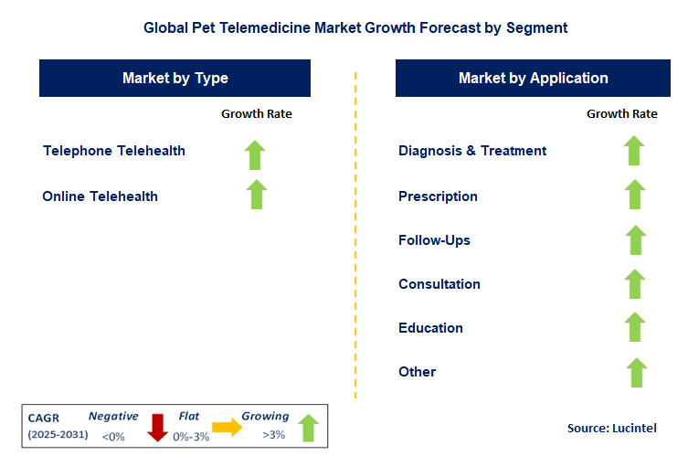 Pet Telemedicine Market by Segment